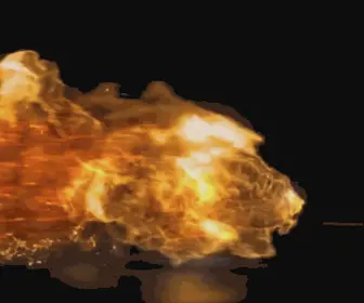 Lionera.com(We Bring The World To You) Screenshot