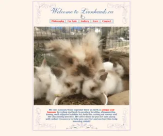 Lionheads.ca(Lionhead Rabbits) Screenshot