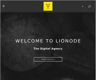 Lionode.com(Professional ecommerce designers and developers) Screenshot