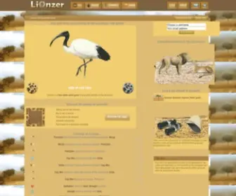 Lionzer.com(Lion and animals of the savannah game) Screenshot