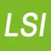 Lipidomics-Standards-Initiative.org Logo
