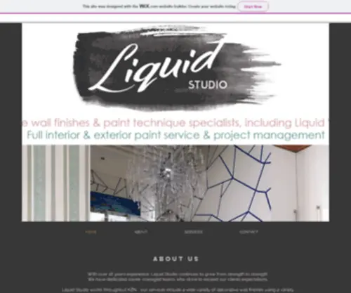 Liquidstudio.net(Paint Technique Specialists) Screenshot