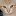 Lisaviolet.com Favicon