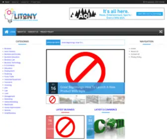 Litony.com(Knowledge Source of Successful Business) Screenshot