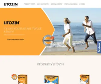 Litozin.com.pl(Strona główna) Screenshot