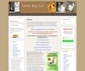 Littlebigcat.com(Holistic Veterinarian Dr) Screenshot