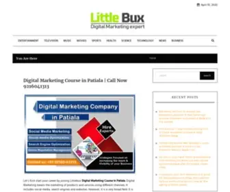 Littlebux.com(Digital Marketing Course in Patiala) Screenshot