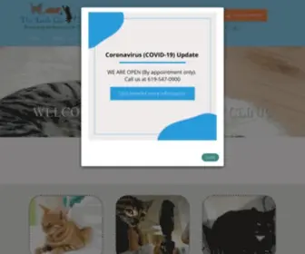 Littlecatclinic.com(The Little Cat Clinic) Screenshot