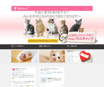 Littlecats.jp(いぬ・ねこ) Screenshot