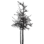 Littleforest.ie Favicon