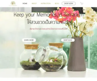 Littleforestterrarium.com(สวนขวด) Screenshot