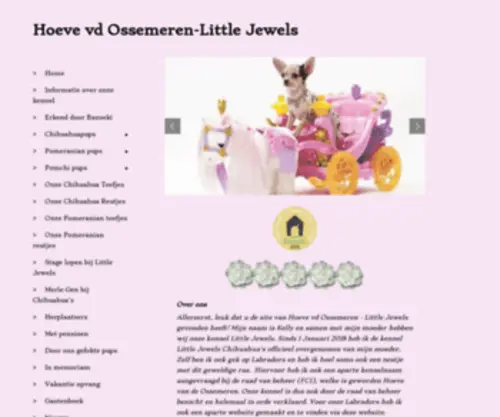 Littlejewels.nl(Littlejewels) Screenshot