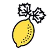 Littlelemonssports.ca Favicon