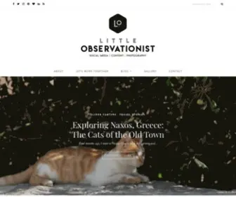 Littleobservationist.com(Little Observationist) Screenshot