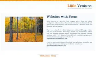 Littleventures.com(Dallas Web Development) Screenshot