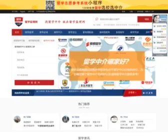 Liuxue315.cn(留学监理网) Screenshot