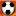 Livefooty.net Favicon