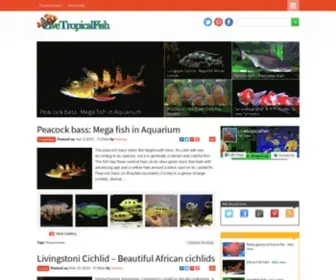 Livetropicalfish.net(Live Tropical Fish) Screenshot