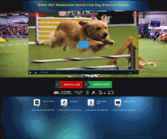 Livetvstream.co(Live TV Stream News) Screenshot