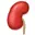 Livingkidneydonation.co.uk Favicon