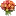 Livraison-Fleurs.aquarelle Logo