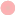Liz-Hernandez.com Favicon