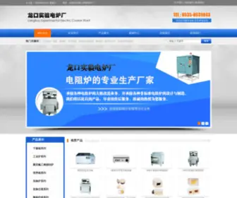 LK-Dianlu.com(龙口实验电炉厂) Screenshot