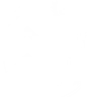 Lksuedwestpfalz.de Logo