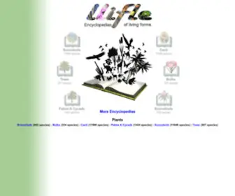 LLifle.com(LLifle) Screenshot
