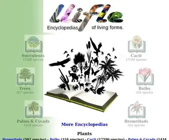 LLifle.net(LLIFLE) Screenshot