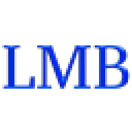 LMB.com.do Favicon