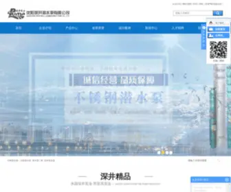 LN-Pump.com(沈阳深井潜水泵有限公司) Screenshot