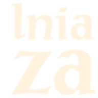 Lnianyzaulek.com Favicon