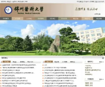 Lnmu.edu.cn(辽宁医学院) Screenshot