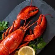 Lobsters-Shipped.com Logo