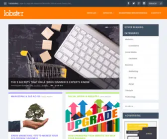 Lobsterwebdesign.co.uk(Website Design) Screenshot