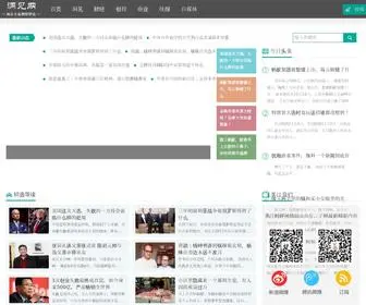 Localonline.com.cn(洞见网) Screenshot
