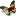 Localzimbo.com Favicon