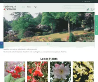 Loder-Plants.co.uk(Camellia Grove) Screenshot