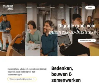 Lodestar.be(Digitale groei voor Business) Screenshot