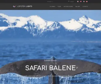 Lofotenlights.com(Northern Lights Tours in Norway) Screenshot