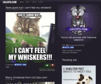 Lolcats.com(LOL Cats) Screenshot