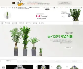 Lolflower.com(롤플라워) Screenshot