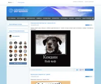 Lolhome.ru(Дом приколов) Screenshot