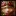 Lolwp.com Favicon