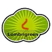 Lombrigreen.com.mx Favicon