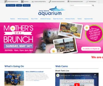 Longislandaquarium.com(Long Island Aquarium) Screenshot