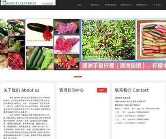 LongXingchaju.com(网平台) Screenshot