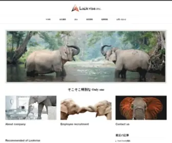 Lookvise.com(株式会社ルックバイス) Screenshot