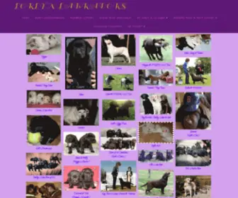 Lorlynlabrador.com(Lorlyn Labrador Retrievers) Screenshot